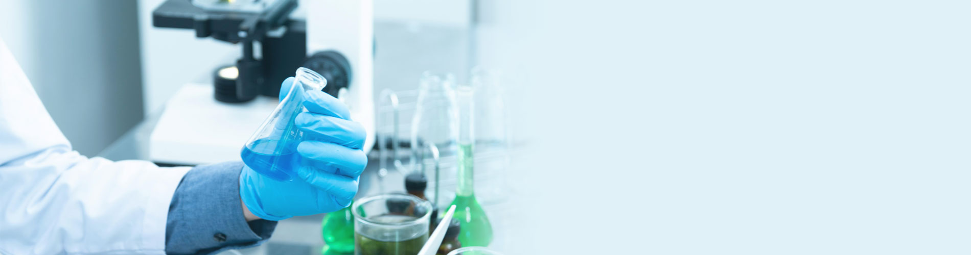 <p><strong>Cuenca</strong></p>